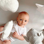 Load image into Gallery viewer, Nuby Musical Cot Mobile Penguin Pals Melodies