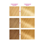 Load image into Gallery viewer, Garnier Olia Gold Hair Colour 10.32 Platinum